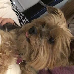 Meet your Posher, Kambria